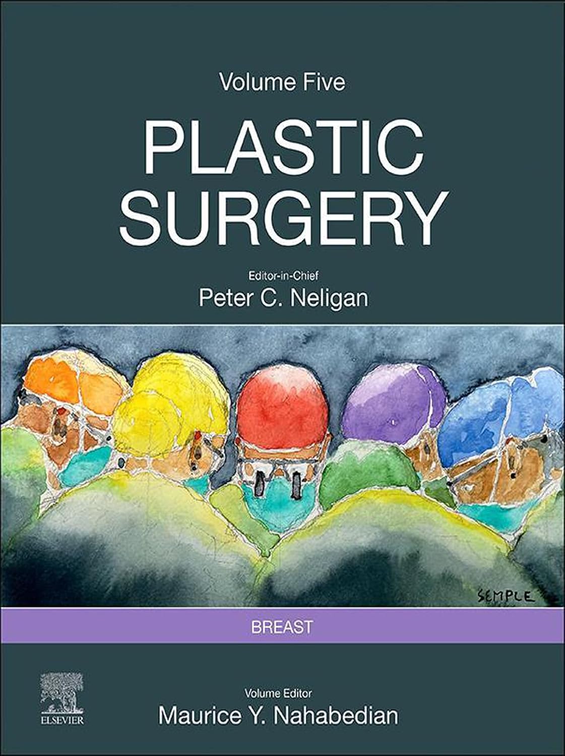 Plastic Surgery: Volume 5: Breast (PDF + VIDEOS)