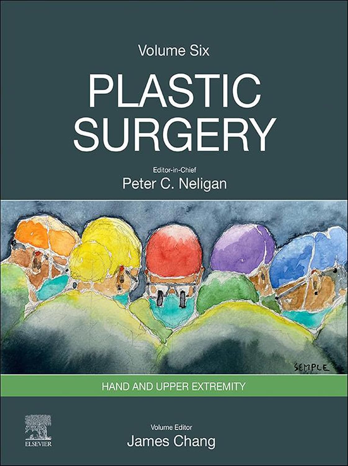 Plastic Surgery: Volume 6: Hand and Upper Extremity (PDF + VIDEOS)