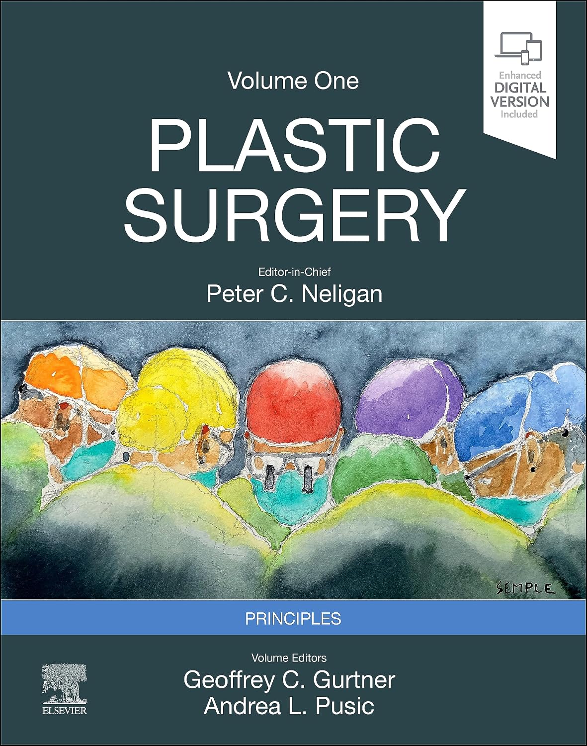 Plastic Surgery: Volume 1: Principles (PDF + VIDEOS)