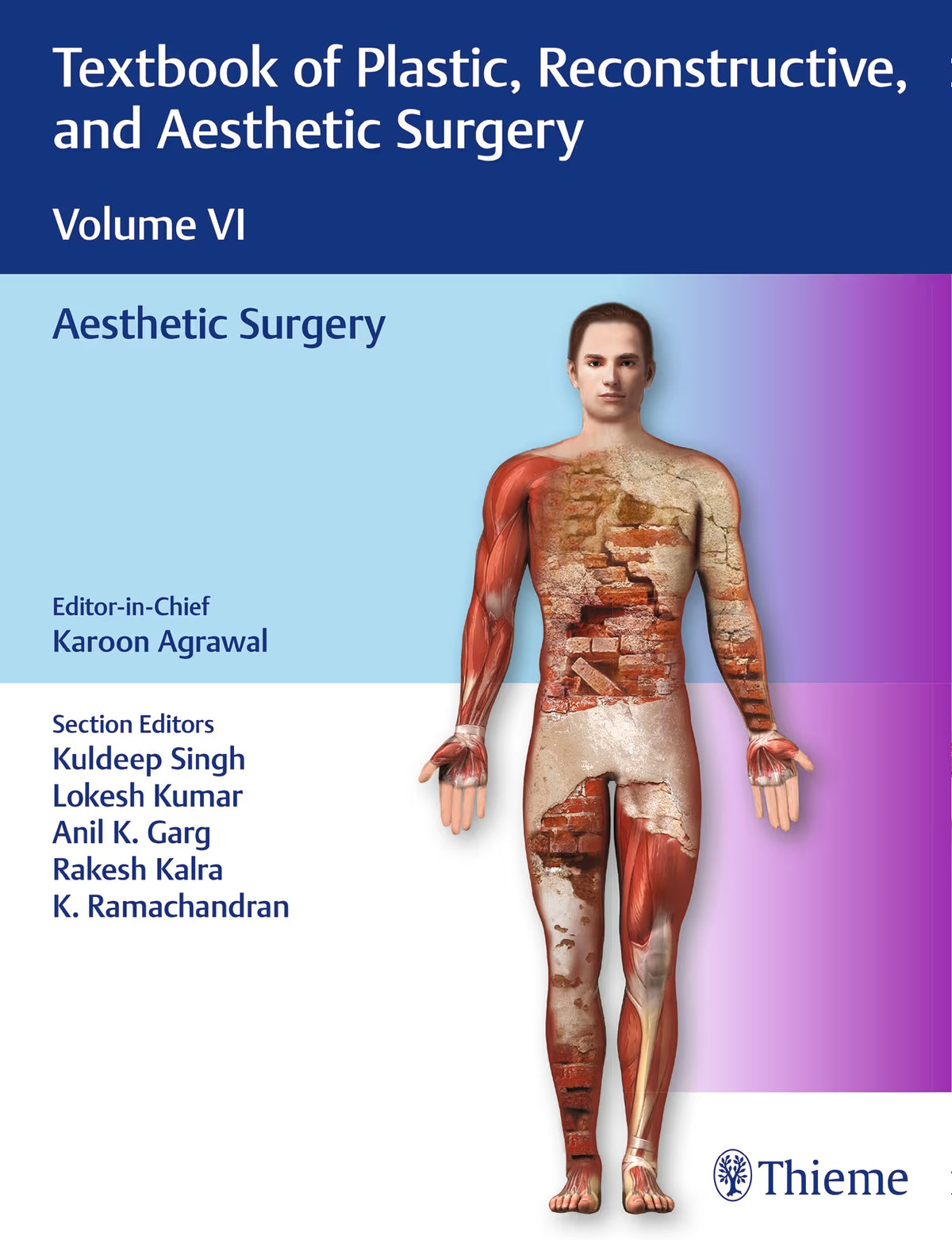 Textbook of Plastic, Reconstructive, and Aesthetic Surgery, Vol 6 (Original PDF from Publisher)