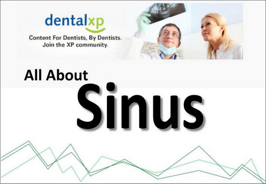 https://dentalmp4.com/wp-content/uploads/2023/03/DentalXP-All-About-Sinus.jpg