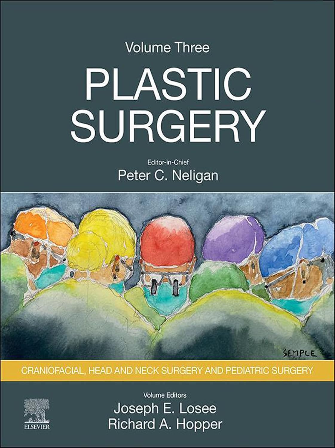 Plastic Surgery: Volume 3: Craniofacial, Head and Neck Surgery and Pediatric Plastic Surgery (PDF + VIDEOS)