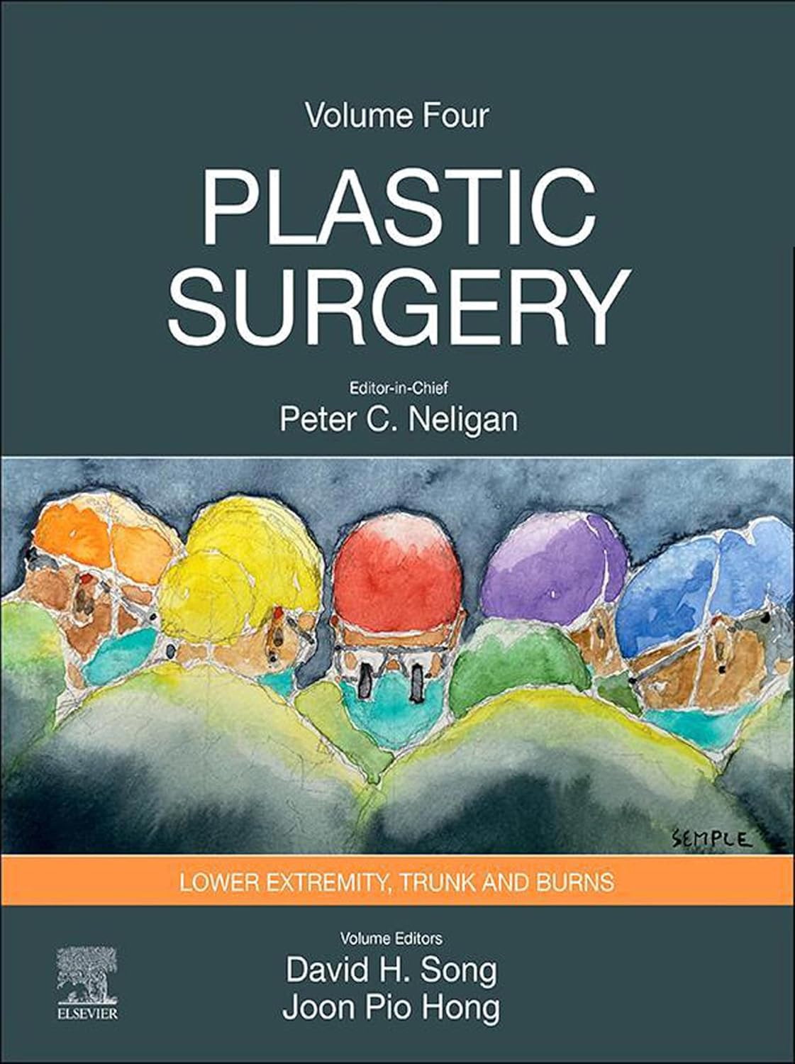 Plastic Surgery: Volume 4: Trunk and Lower Extremity (PDF + VIDEOS)