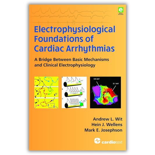 Electrophysiological Foundations of Cardiac Arrhythmias: A Bridge Between Basic Mechanisms and Clinical Electrophysiology