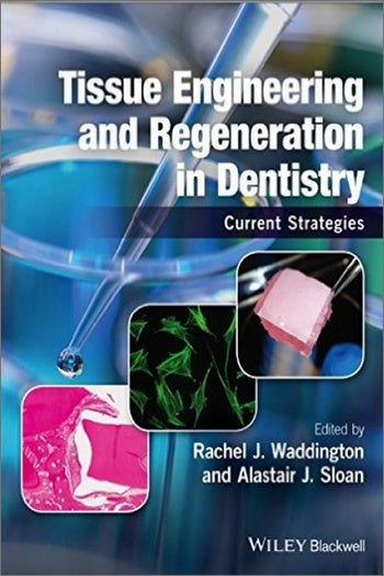 https://dentalmp4.com/wp-content/uploads/2021/03/Tissue-Engineering-and-Regeneration-in-Dentistry-Current-Strategies.jpg