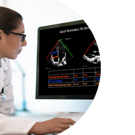 chest Critical Care Echocardiography Exam Virtual Board Review 2024 (CCEeXAM)