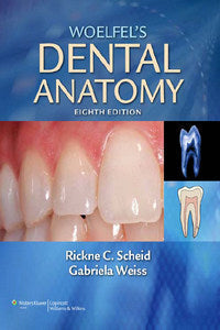 https://cdn.shopify.com/s/files/1/0735/1916/9749/files/Woelfel_s-Dental-Anatomy-Its-Relevance-to-Dentistry-8th-Ed.jpg?v=1759790423