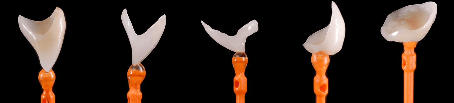 https://dentalmp4.com/wp-content/uploads/2022/06/hero_beauty_shot_teeth3.png