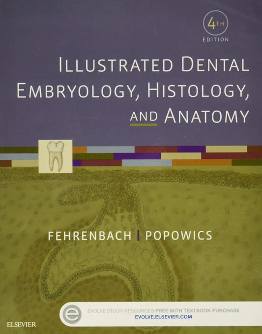 dental embryology, dental histology, dental anatomy,
fehrenbach, popowics, elsevier dental, 4th edition,
dental hygiene, oral biology, best price dental book,
illustrated dental anatomy, evolve resources