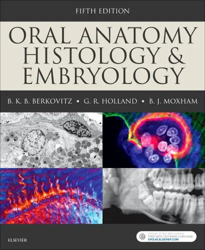Oral Anatomy Histology and Embryology 5th Edition by Berkovitz Holland and Moxham textbook cover